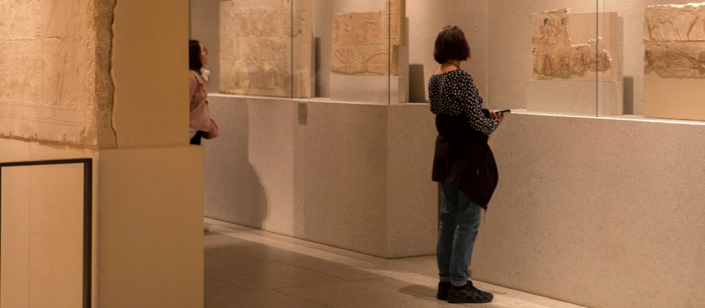 Museum entry and exhibits with Facinos